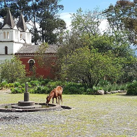 Hacienda Guachala Hotel Кайамбе Екстериор снимка