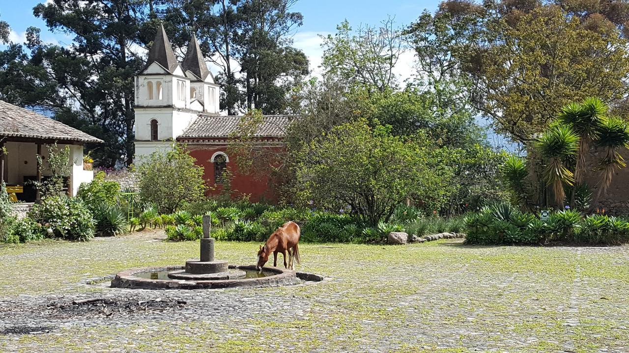 Hacienda Guachala Hotel Кайамбе Екстериор снимка