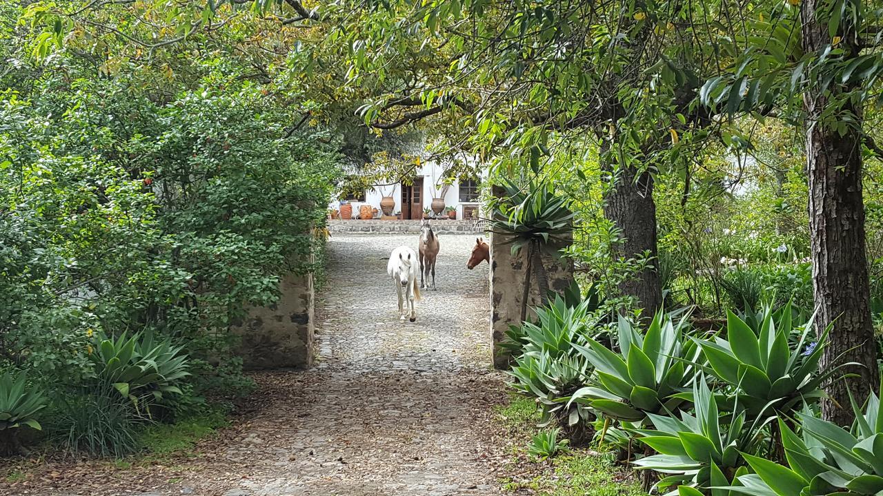 Hacienda Guachala Hotel Кайамбе Екстериор снимка